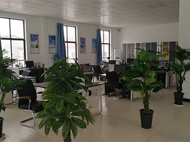 Titanium screw for Medecal office